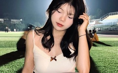 高N车多肉多沉清垣